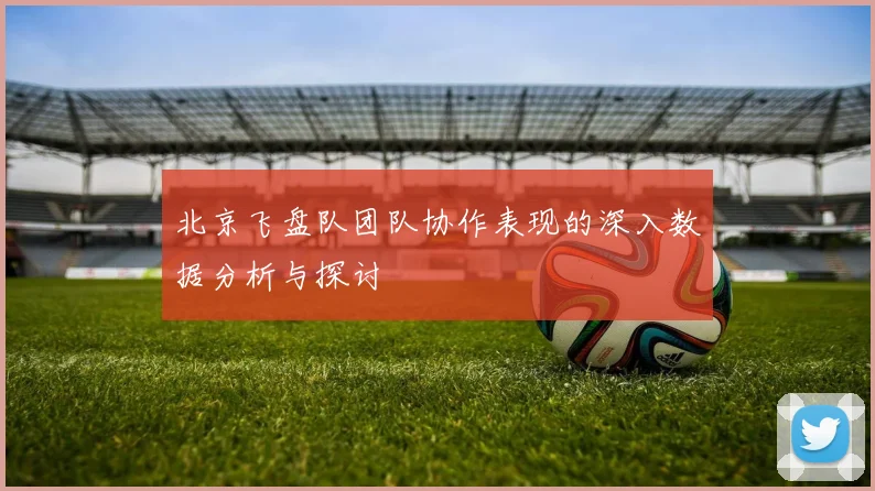 北京飞盘队团队协作表现的深入数据分析与探讨